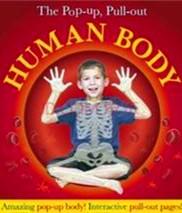 Pop-up,Pull-out Human Body