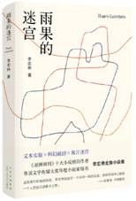 雨果的迷宫
