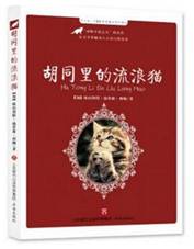 胡同里的流浪猫