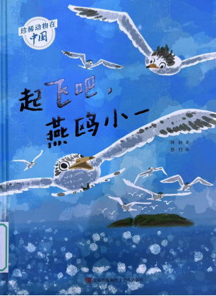 《起飞吧，燕鸥小一》