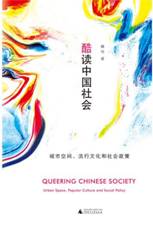 酷读中国社会：城市空间，流行文化和社会政策