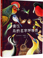 《请以鸟的名字呼唤我》