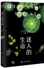 《迷人的生命》