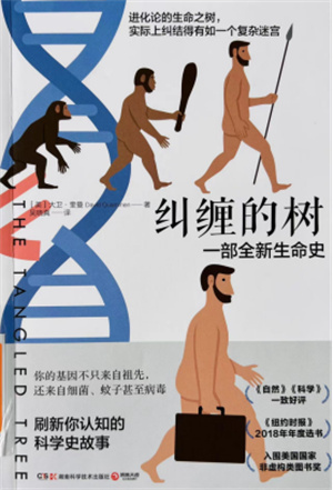 《纠缠的树》