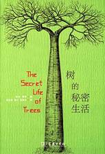 树的秘密生活