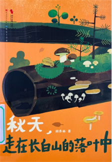 《秋天，走在长白山的落叶中》