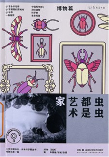 《虫虫都是艺术家》