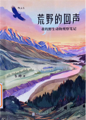 《荒野的回声》