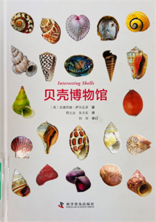《贝壳博物馆》