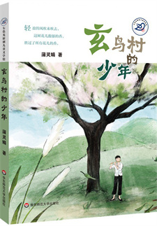 《玄鸟村的少年》