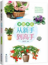 家庭养花：从新手到高手