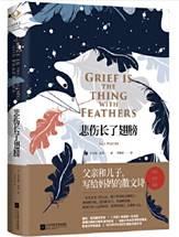 悲伤长了翅膀