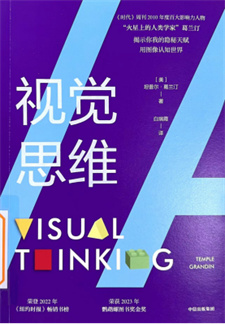 《视觉思维》
