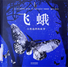 《飞蛾：自然选择的故事》