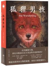 狐狸男孩