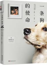 一条狗的使命
