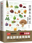 图解养生野菜速查全书