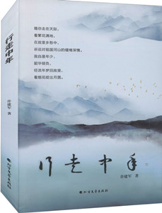 行走中年