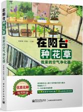 在阳台种花草——我家的空气净化器