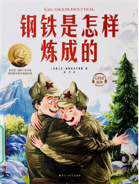 《钢铁是怎样炼成的》