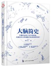 大脑简史