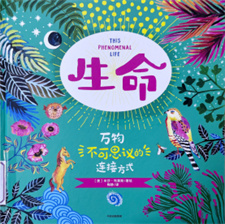 《生命：万物不可思议的连接方式》