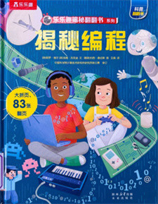 《揭秘编程》