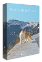 旅途中邂逅的猫咪