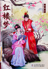 《红楼梦》