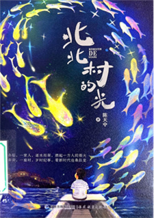 《北北村的光》